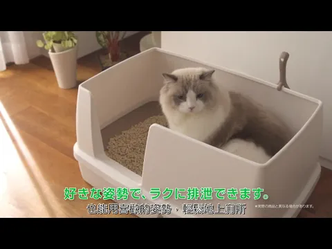 UnicharmPet - 寬敞舒適貓砂盆三大特色介紹