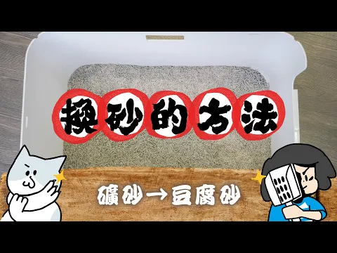 如何從礦砂轉換成豆腐砂？讓貓咪輕鬆換砂的方法【臭味滾豆腐貓砂】