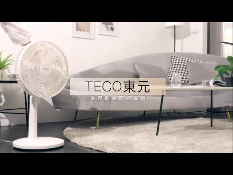 TECO東元家電 遙控擺頭DC節能風扇 - XA1479BRD