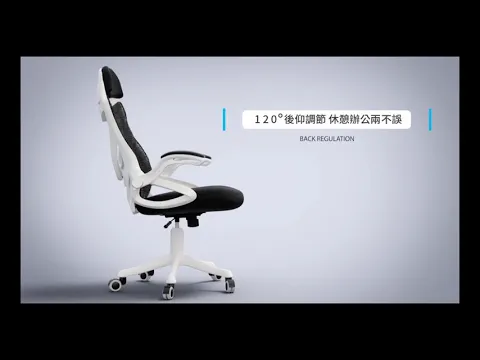 一體成型4段式升降腰托人體工學電腦椅/辦公椅(90度上掀扶手)
