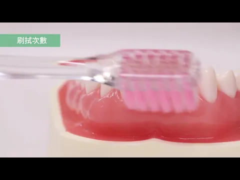 【日本獅王口腔衛教】刷牙基礎②預防牙周病的護理方法